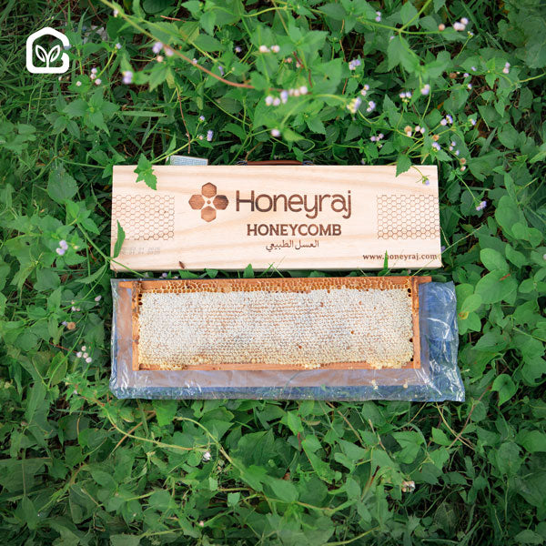 Natural Honeycomb-1600gm (Briefcase)