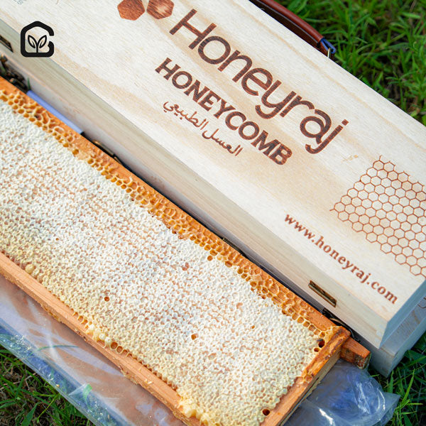 Natural Honeycomb- 1700g (Briefcase)