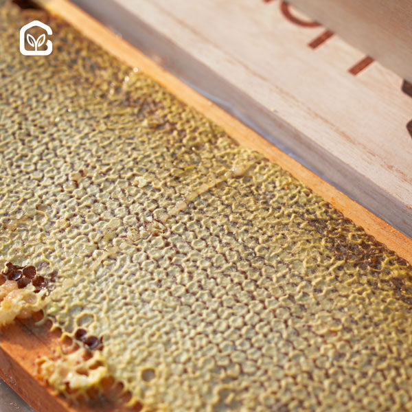 Natural Honeycomb-1800g (Briefcase)