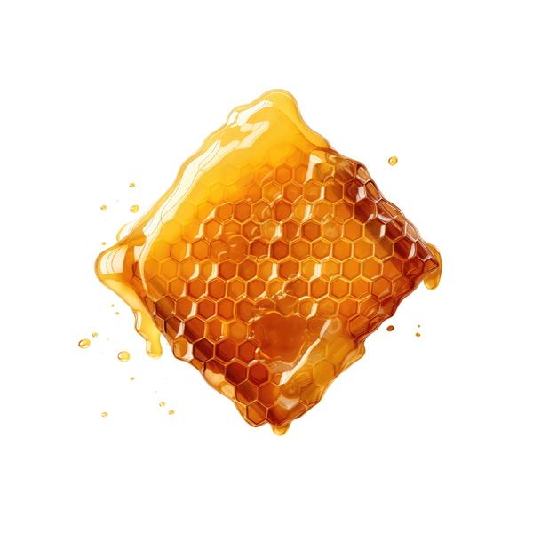 সুন্দরবনের মধু/Sundarban Honey 500g